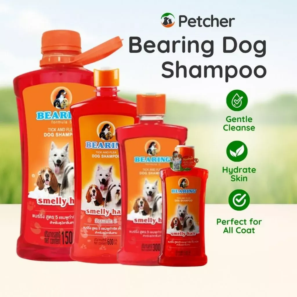 Bearing Tick and Flea Dog Shampoo for Smelly Hair: Deep Cleaning, Long-Lasting Fresh Scent