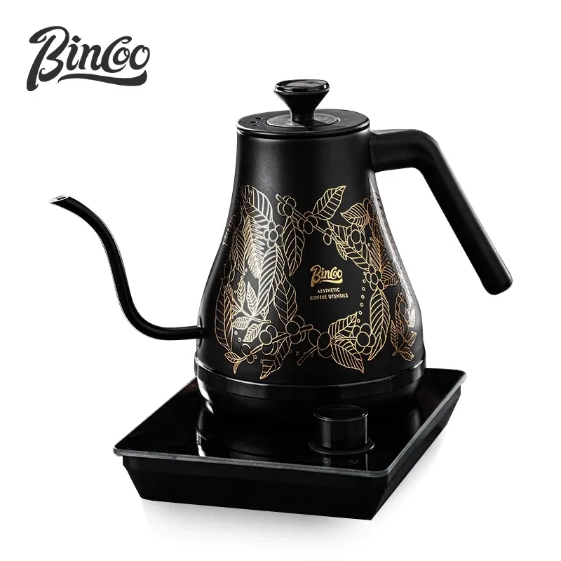 BINCOO 1L stainless steel electric coffee kettle with temperature display, front view