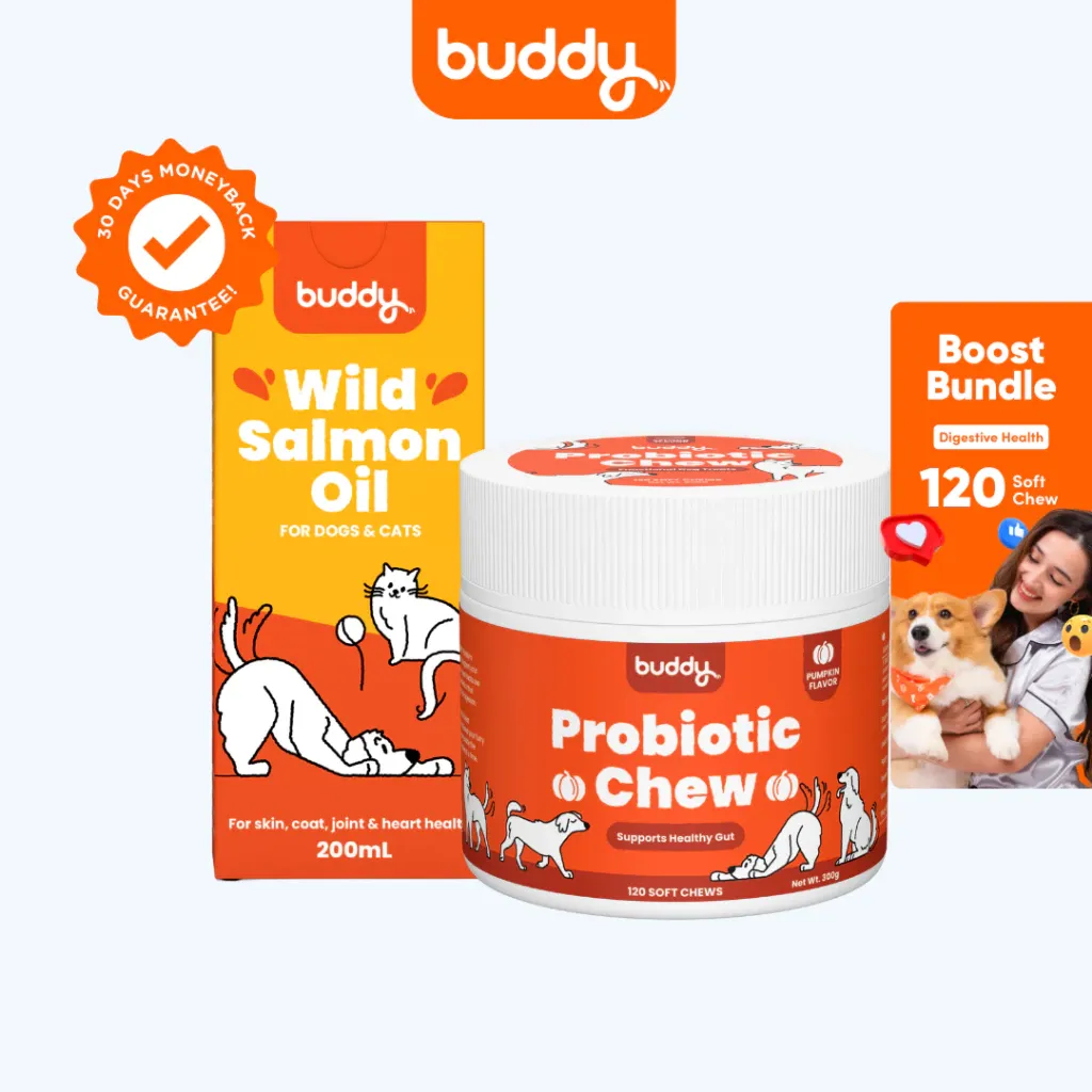 Buddy Digestive Boost Bundle with salmon oil and probiotic chews for dogs, front view