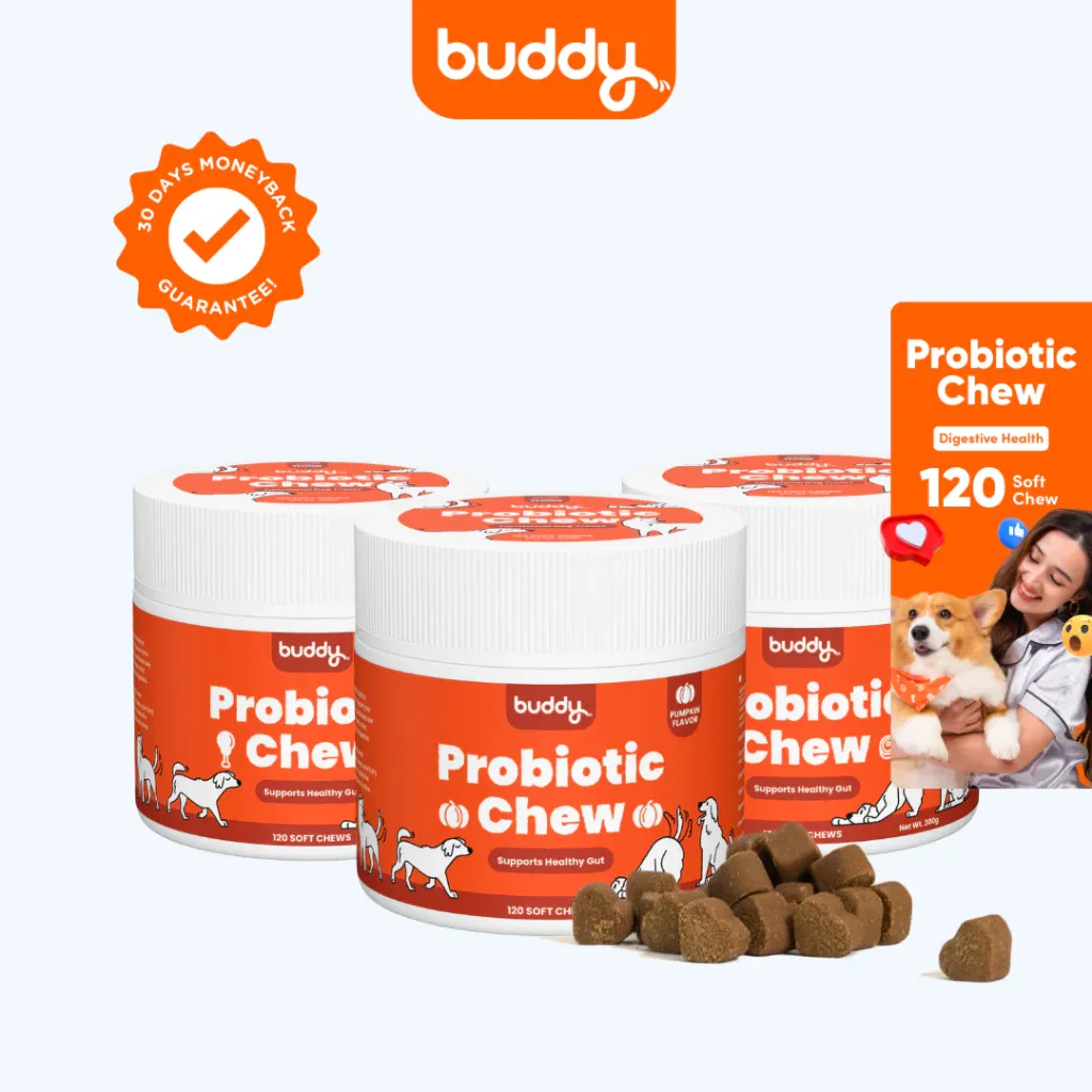 Buddy Probiotic Chew functional dog treats, 120 soft chews 320g tub, front view