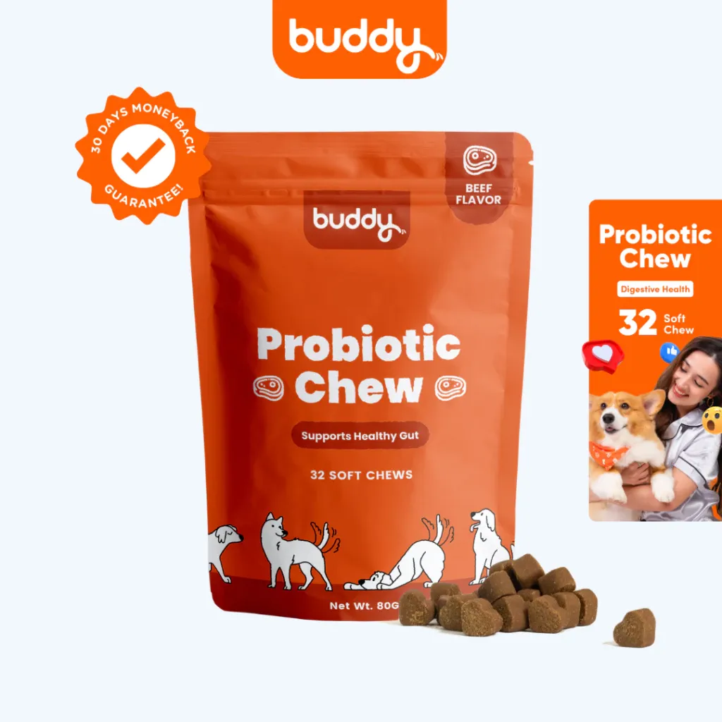 Buddy Probiotic Chew functional dog treats, 32 soft chews 80g pack, front view