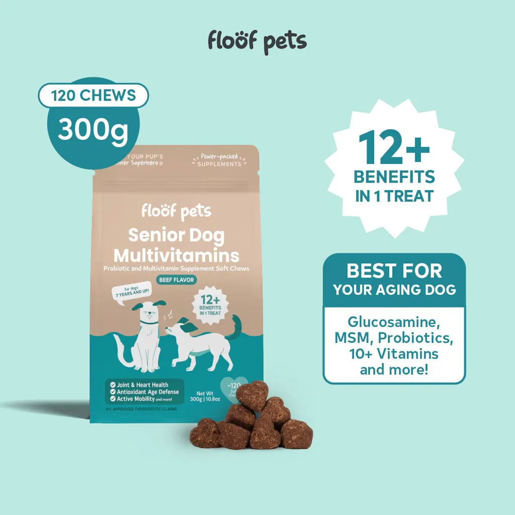 Floof Pets 12-in-1 Senior Dog Multivitamins: 120 Chews (300g) for Aging Dogs