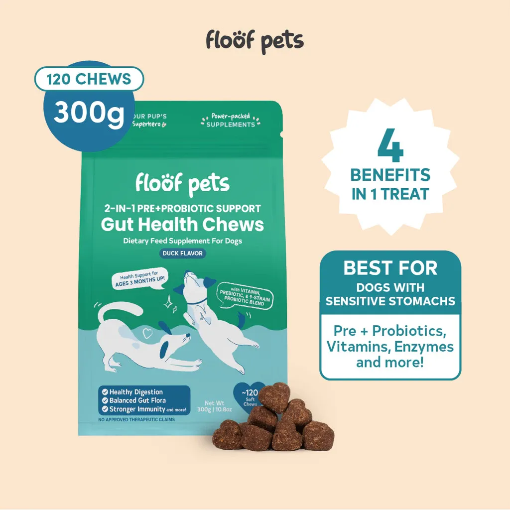 Floof Pets Pre+Probiotic Gut Health tub of 120 soft chews, 300g, front view