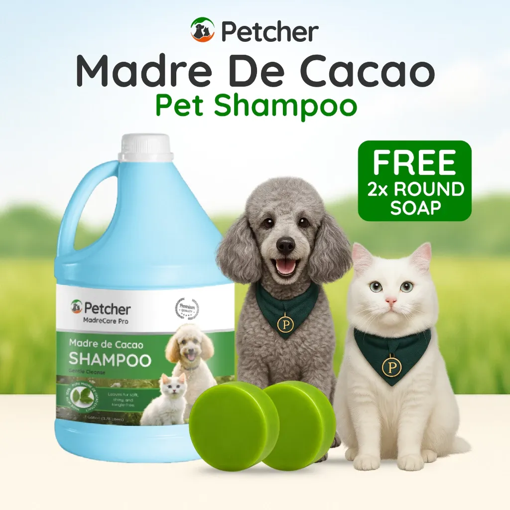 Petcher Madre de Cacao Pet Shampoo, 1 Gallon / 1 Liter / 500ml with Free Soap for Dogs and Cats