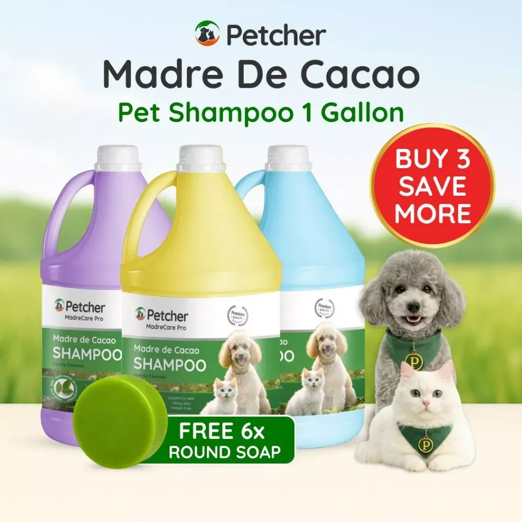 Petcher Madre de Cacao Pet Shampoo 1 Gallon Bundle, Anti Tick & Flea, Pet Grooming Essential