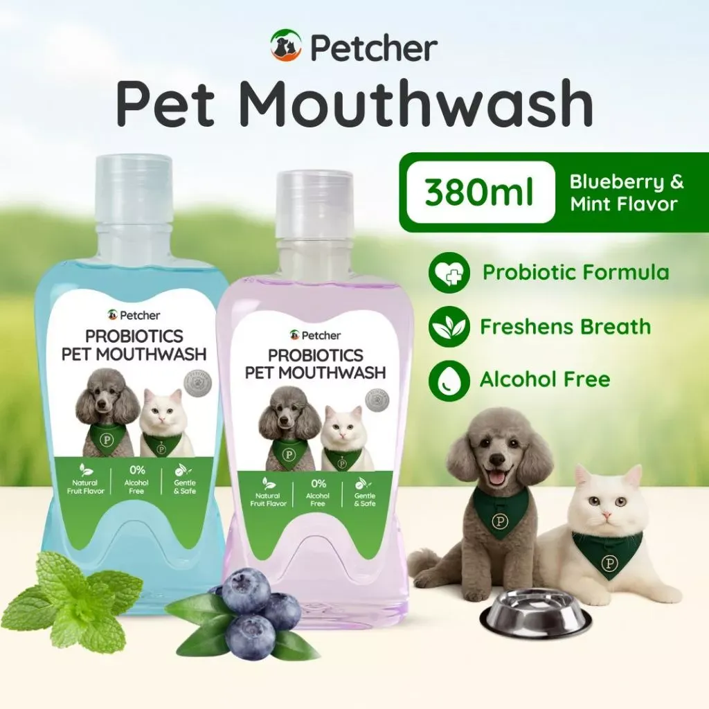 Petcher probiotic pet mouthwash 380ml bottle for dogs and cats, front view