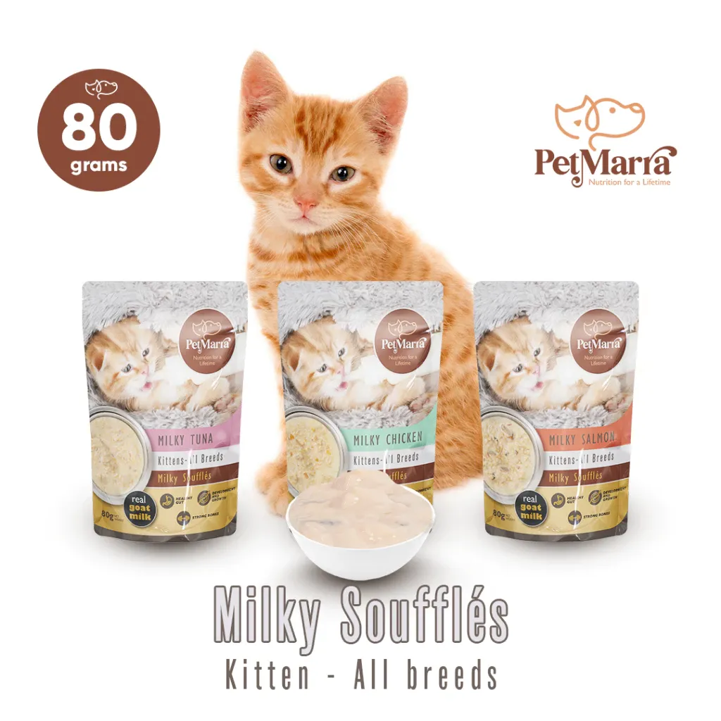 PetMarra Milky Souffles Kitten Wet Food Pouch Chicken Tuna Salmon 80g Collection