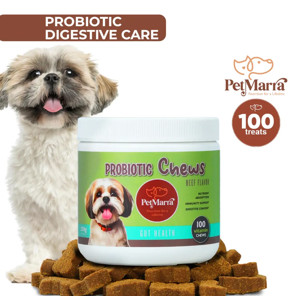 PetMarra Probiotic Chews dog treats 250g tub for gut health, front view