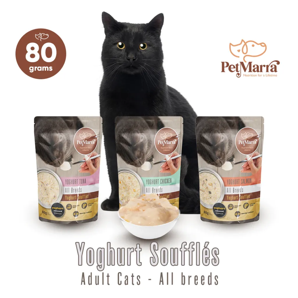 PetMarra Yoghurt Souffles Adult Cat Wet Food Pouch Chicken Tuna Salmon 80g Collection