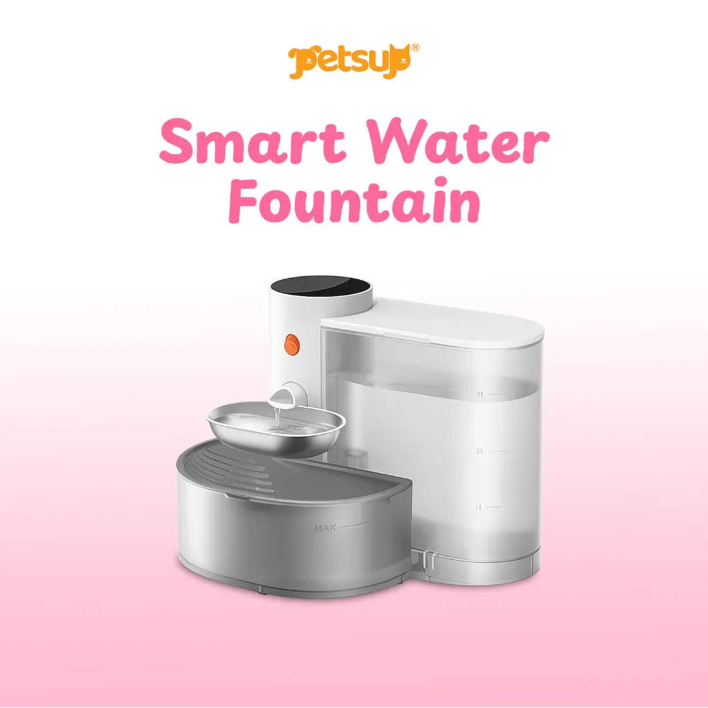 Petsup 3L cordless rechargeable smart pet water fountain, front view